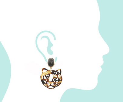 Tiger Braunt&ouml;ne